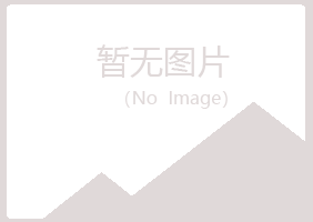 乐山中蓝天建设有限公司